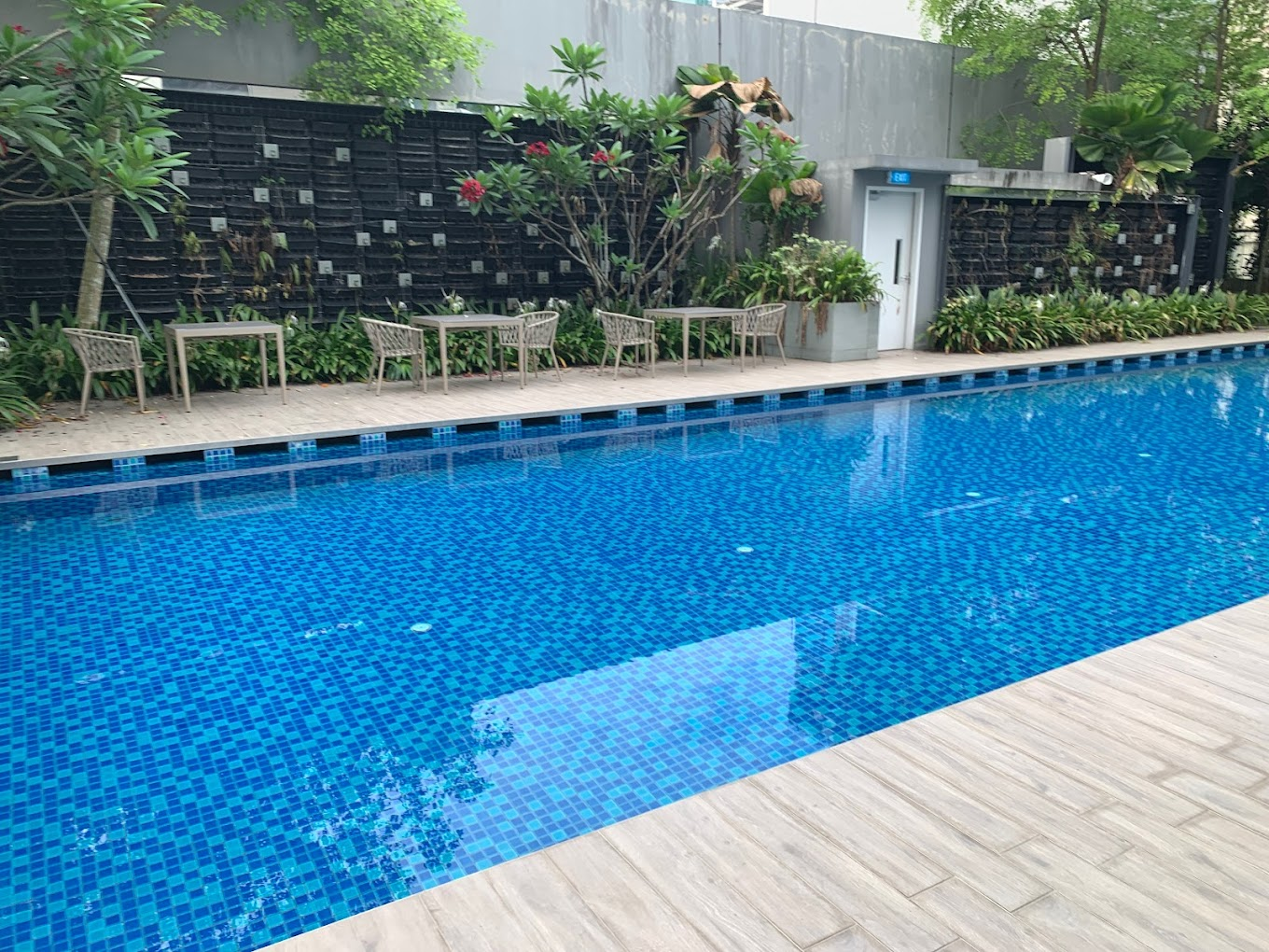 24 hour gyms singapore - msfit rooftop pool