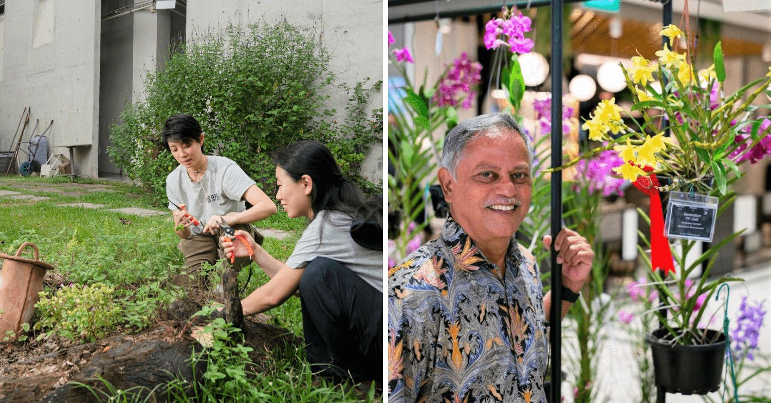 Gardener’s Day Out at HortPark - activities