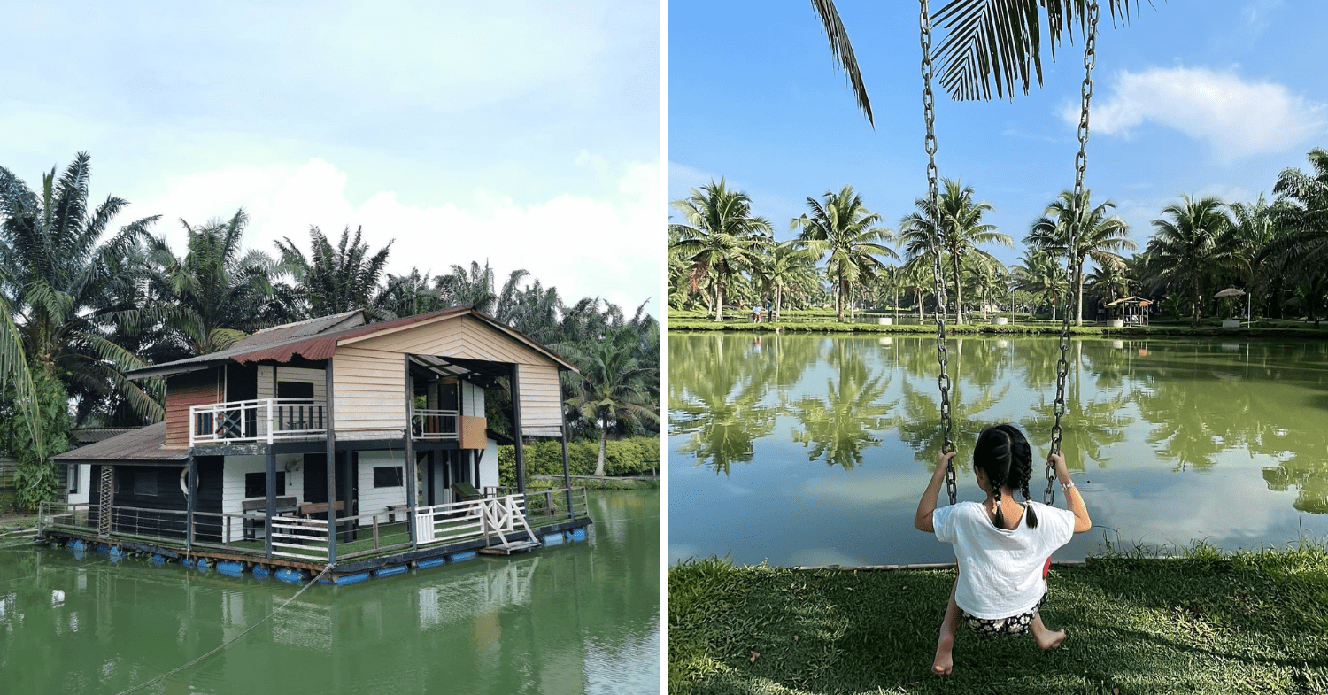Relaxing resorts in Johor - Star Fish Leisure Farm