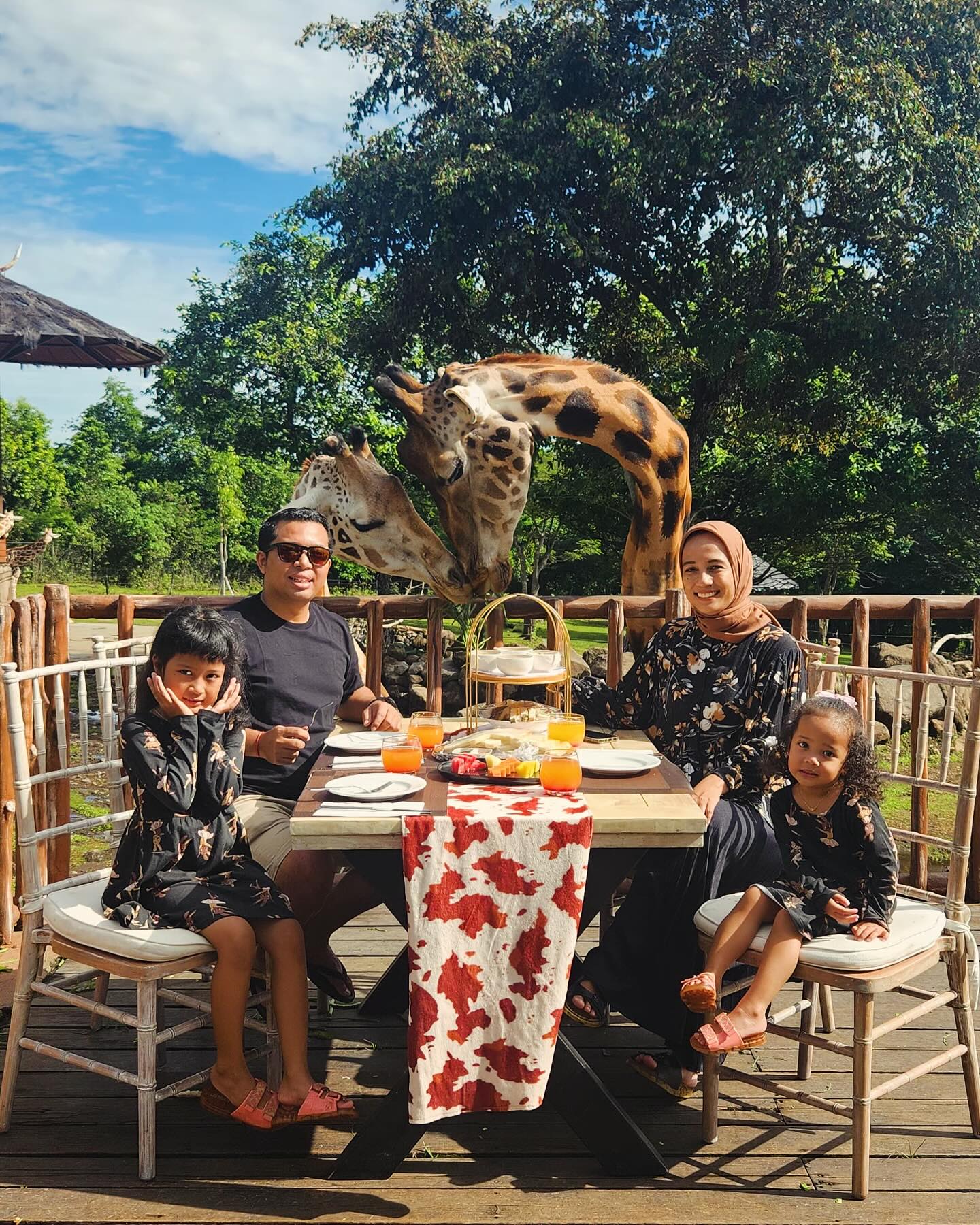 Baobab Safari Resort - Giraffes