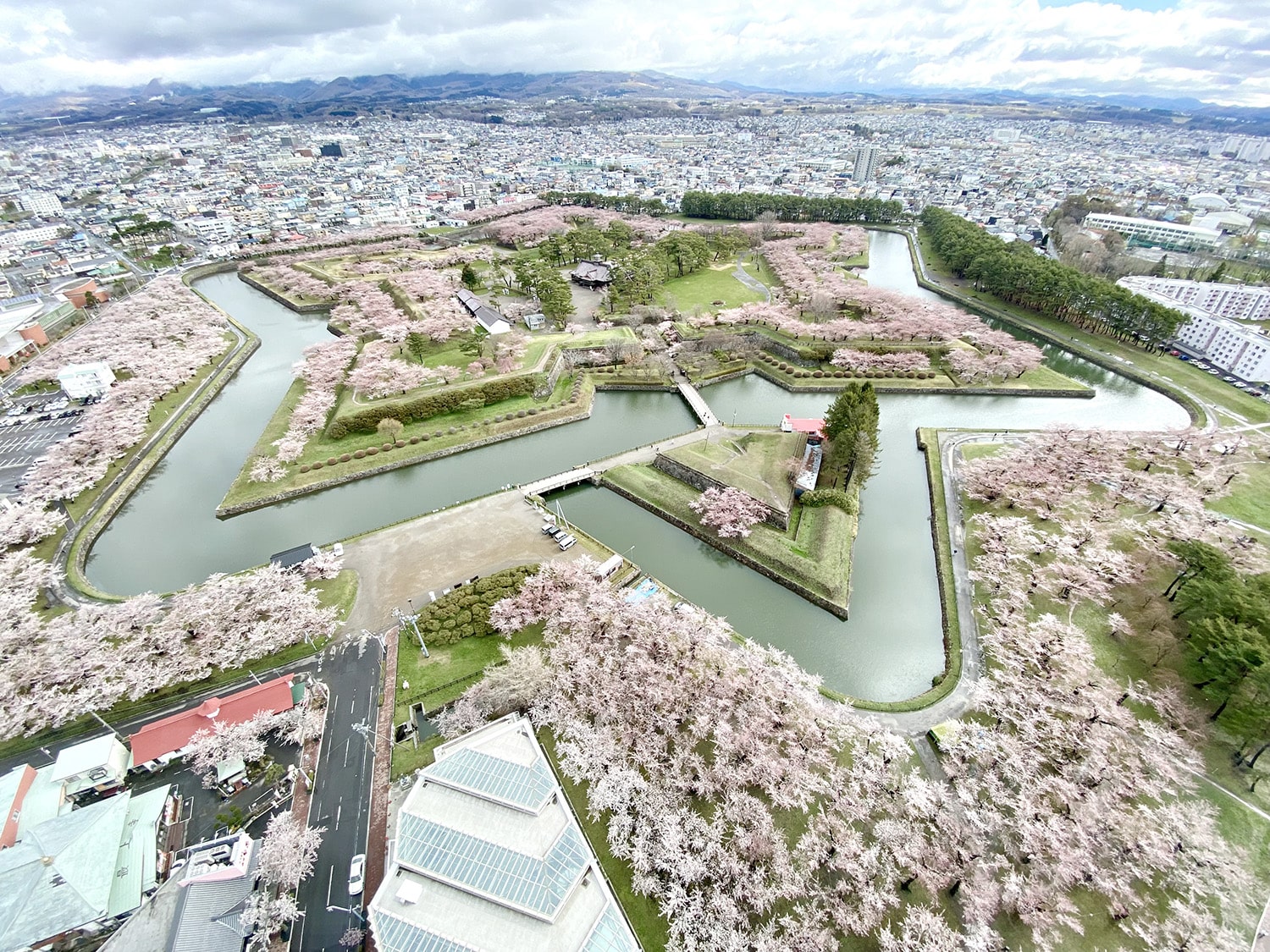 Cherry Blossoms in Japan - Goryokaku Tower park