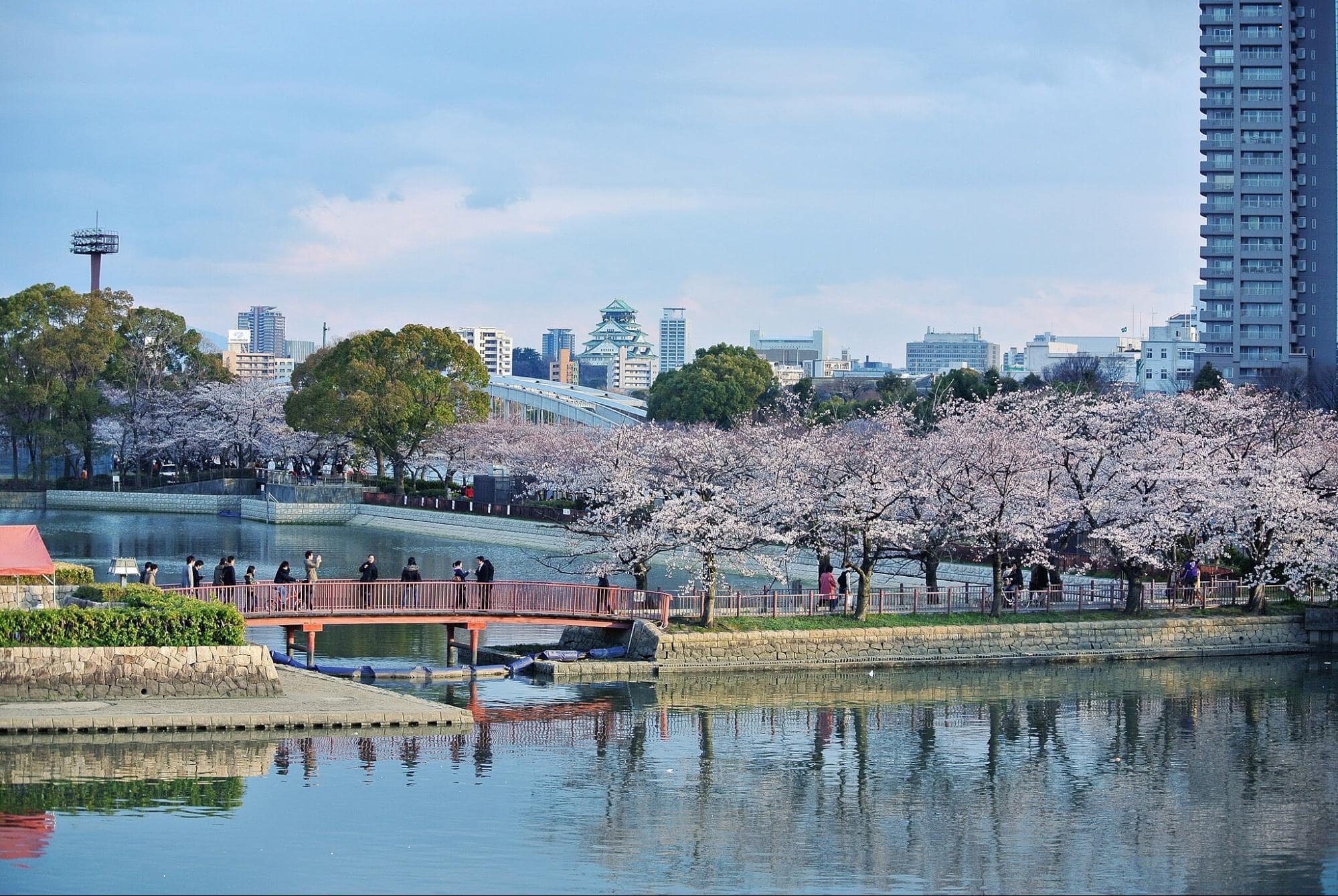 Cherry Blossoms in Japan - Kema Sakuranomiya Park