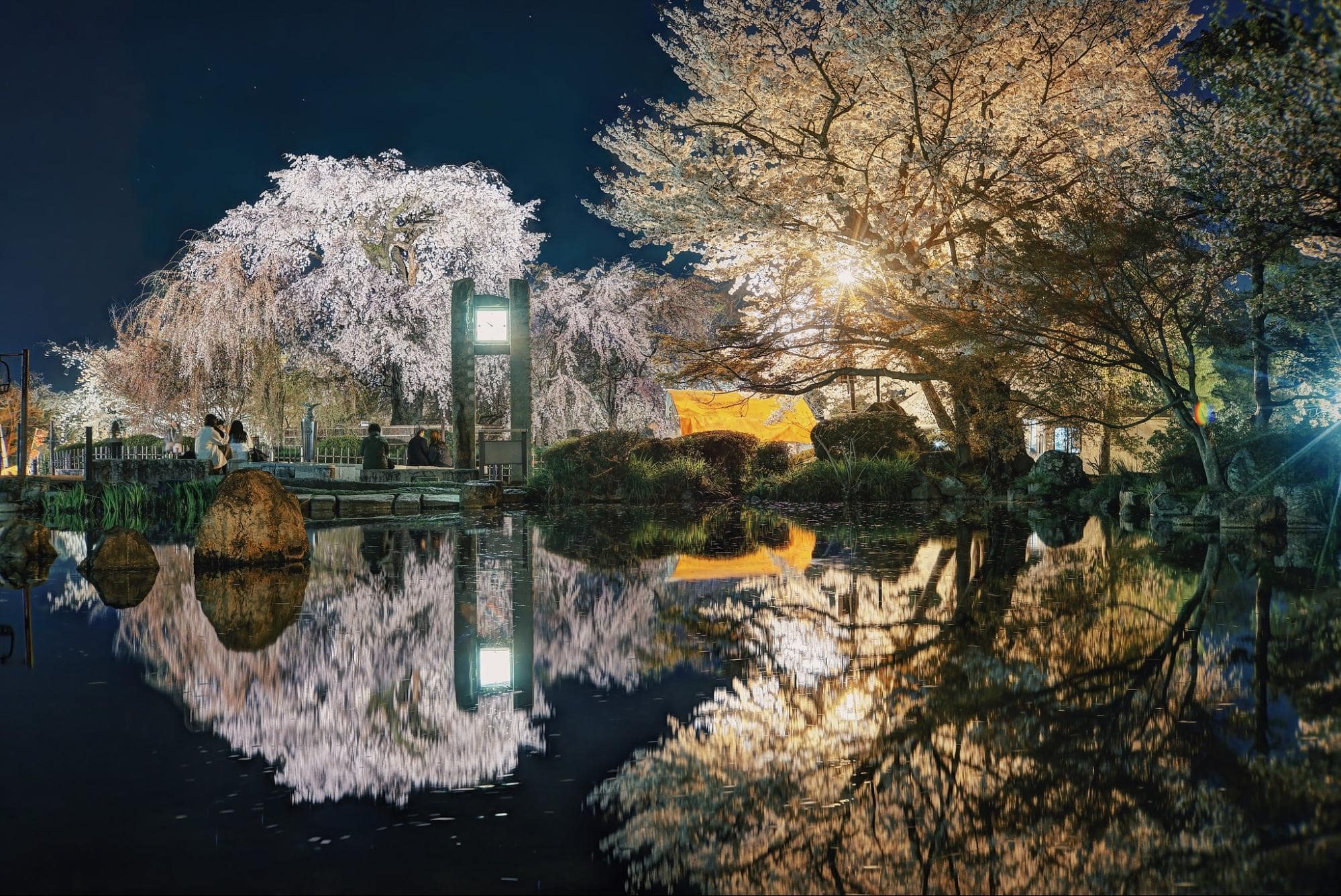 Cherry Blossoms in Japan - Maruyama Park at night