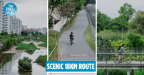 Eastern Corridor Cycling Guide: We Review The Newly-Completed PCN Route From Pasir Ris To ECP