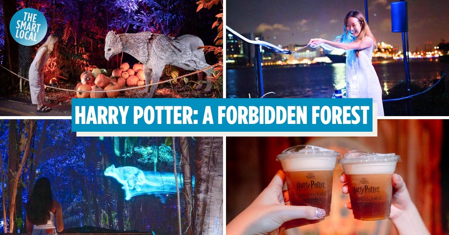 Harry Potter A Forbidden Forest Experience In SG In 2024