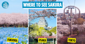 Where and when to see cherry blossoms in Japan