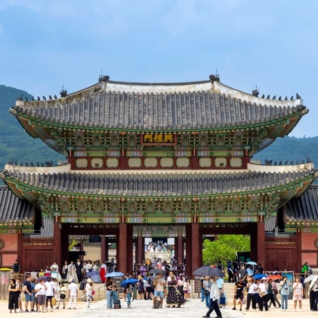 cheap flights singapore to korea - korea palace