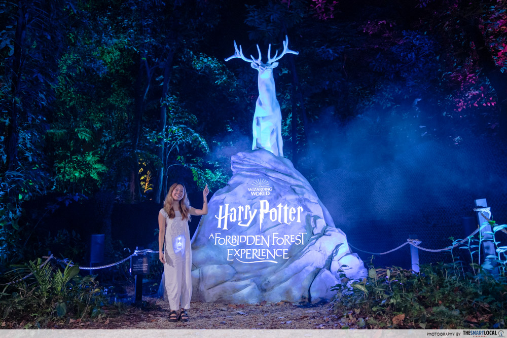 harry potter a forbidden forest experience