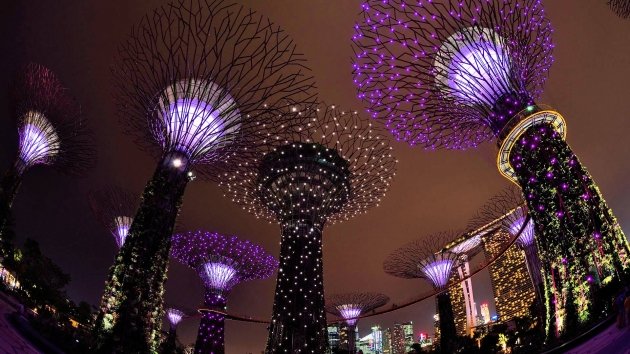 late night date ideas - gardens by the bay