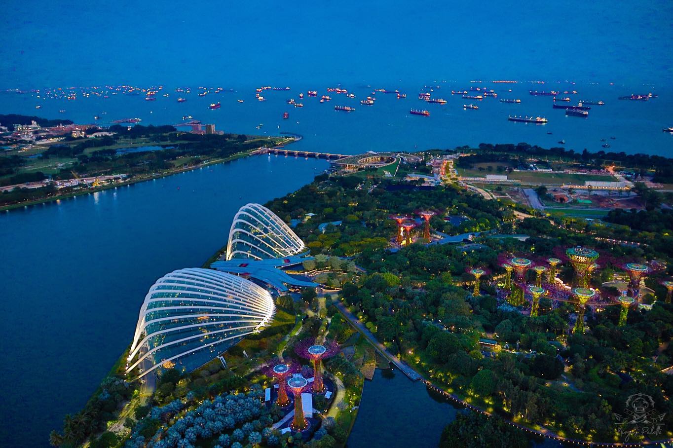 marina bay sands skypark - view of gardens by the bay