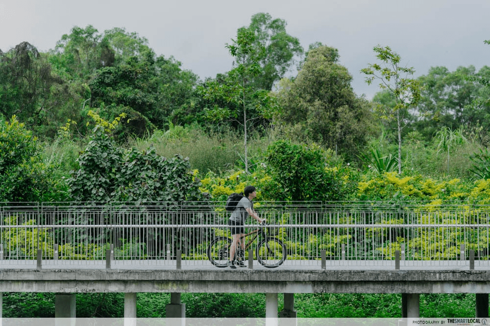 Cycling Along The Eastern Corridor
