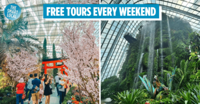 Gardens by the Bay free entry - free tours every weekend