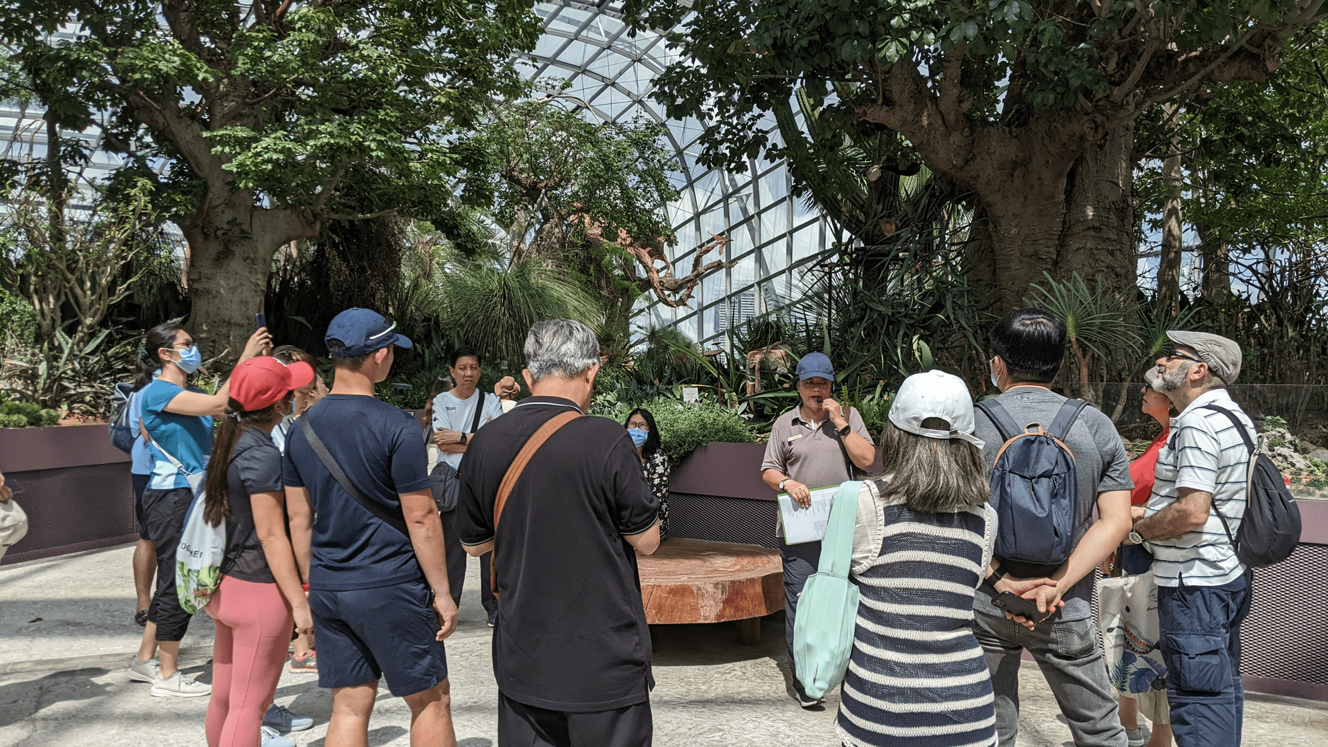 Gardens by the Bay free entry - sustainability tours