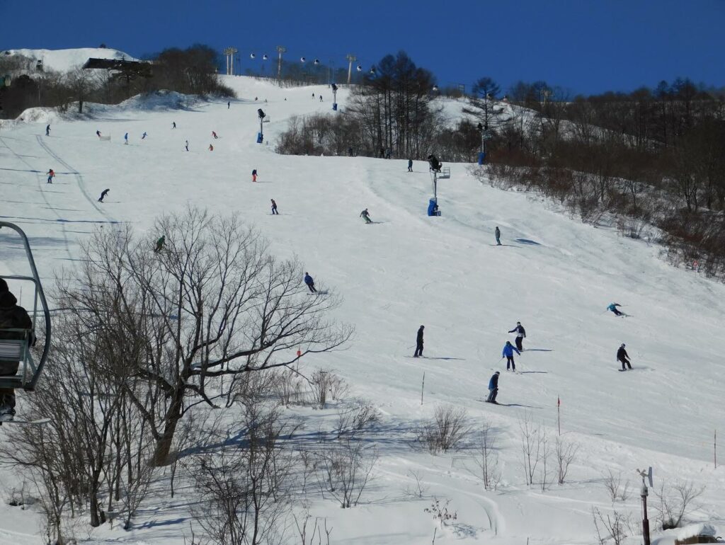 11 Beginner Friendly Ski Resorts in Japan To Hit The Slopes At