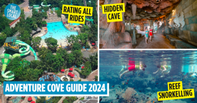adventure cove waterpark - cover image