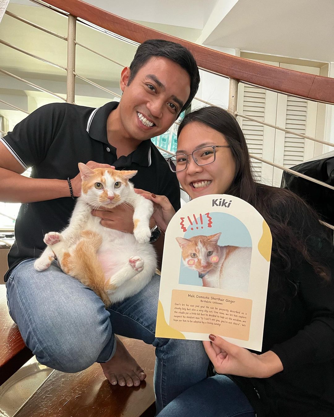 cat cafes singapore - Wildflower Studio cats for adoption