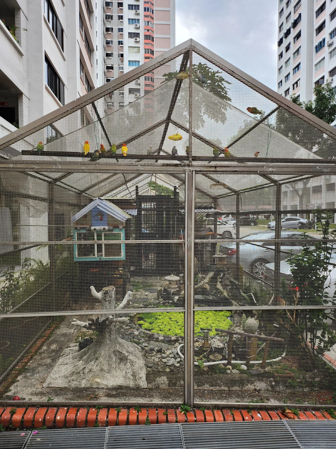 community garden - Blk 223A Jurong East Street 21 bird aviary