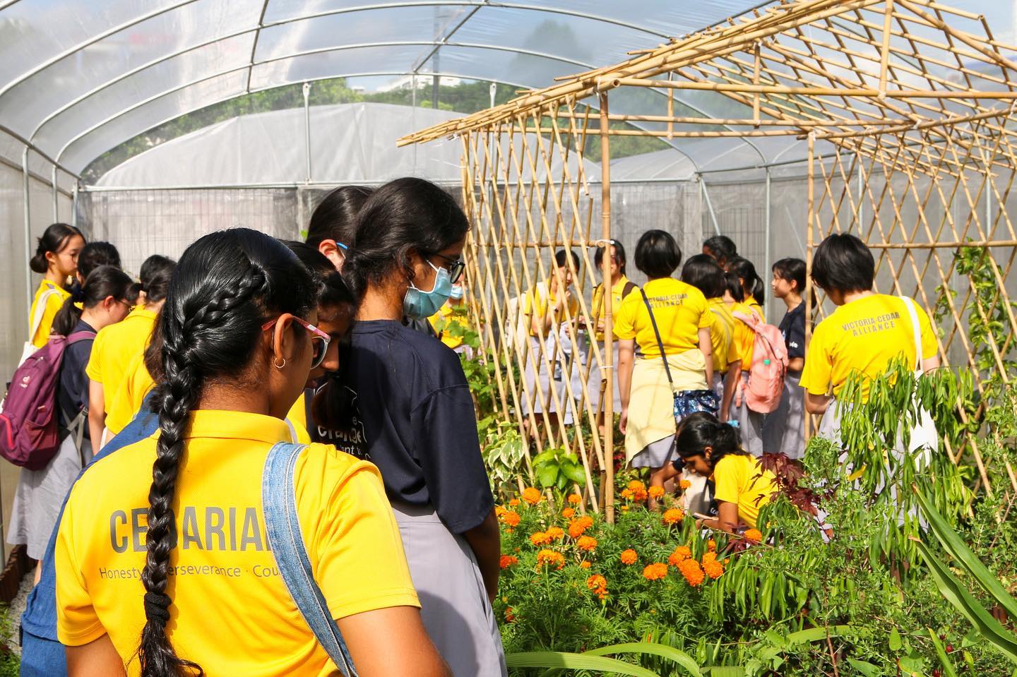community garden - Community Gardens @ Jurong Play Gardens school tour