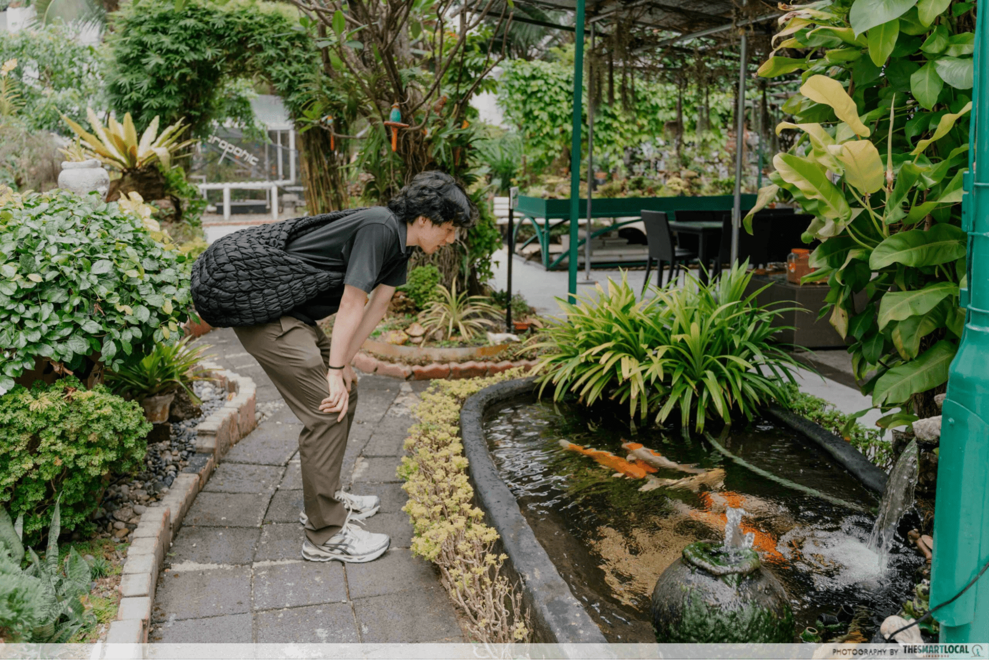 community garden - Cosy Garden @ Bukit Batok koi pond