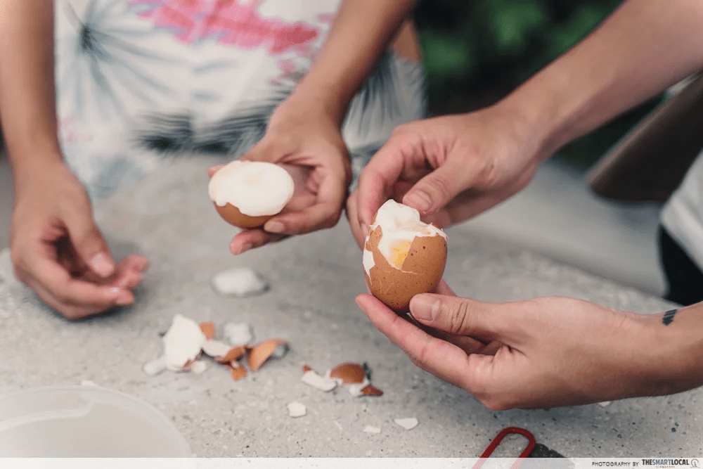 hdb cleaning tips - eggshells for lizards