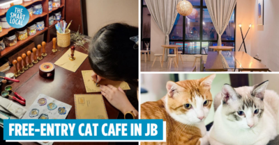 TwentyFour Cafe - A free-to-enter cat cafe in Johor Bahru - Cover image