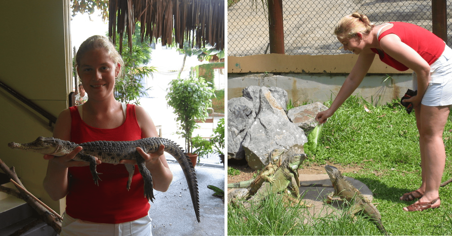 Activities At Jurong Reptile Park