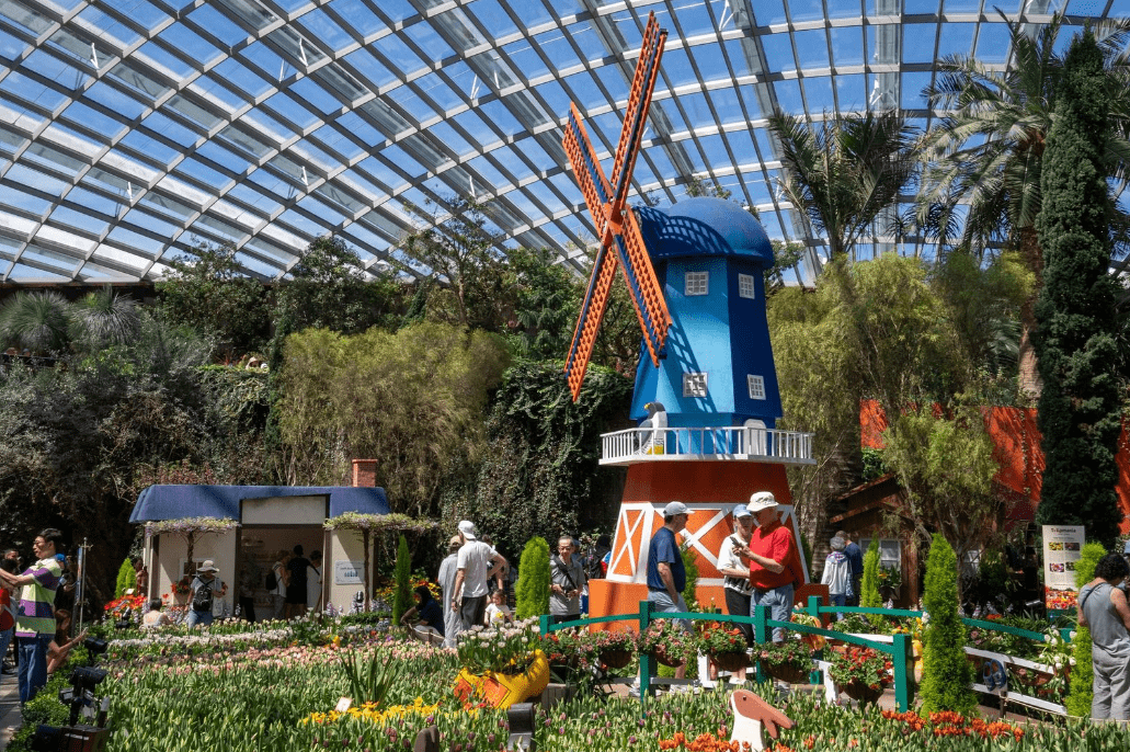 Gardens By The Bay Tulipmania 2024 Windmill