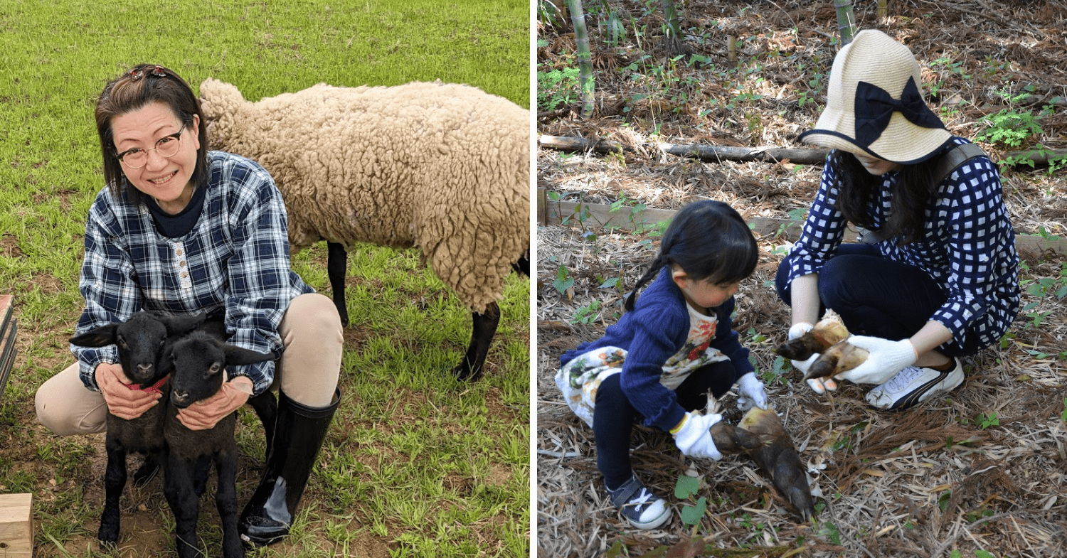 Petting Sheep And Lambs + Digging For Bamboo Shoots At Auberge Fujii Fermier - Farmstays in Japan