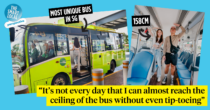I Rode The Smallest Public Bus In Singapore With Only 24 Seats & 1 Door 