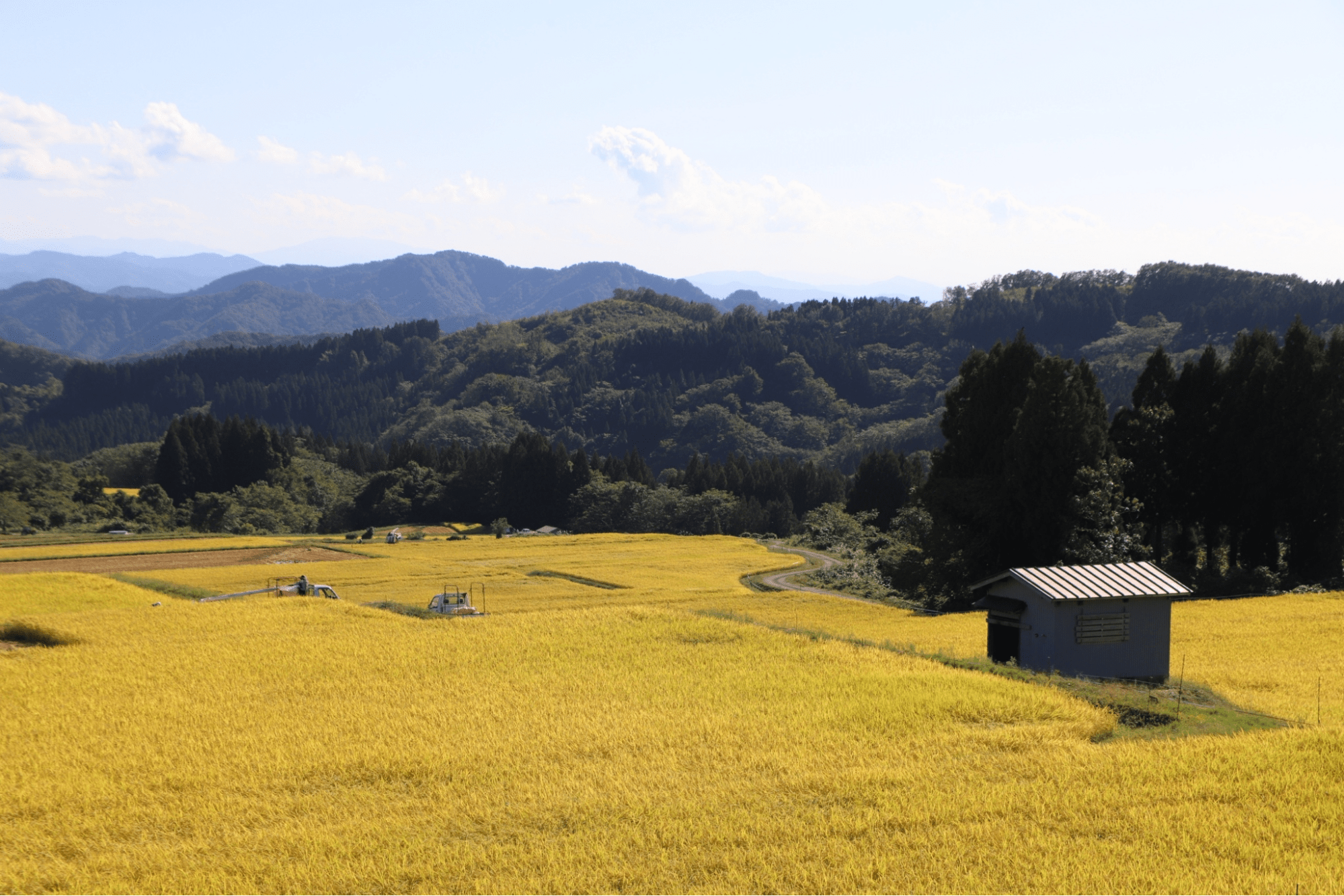 Zaigomon Rice Fields - Farmstays in Japan