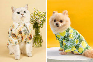 The SHEIN Pop-Up At Plaza Singapura Has New Lines & Viral Makeup