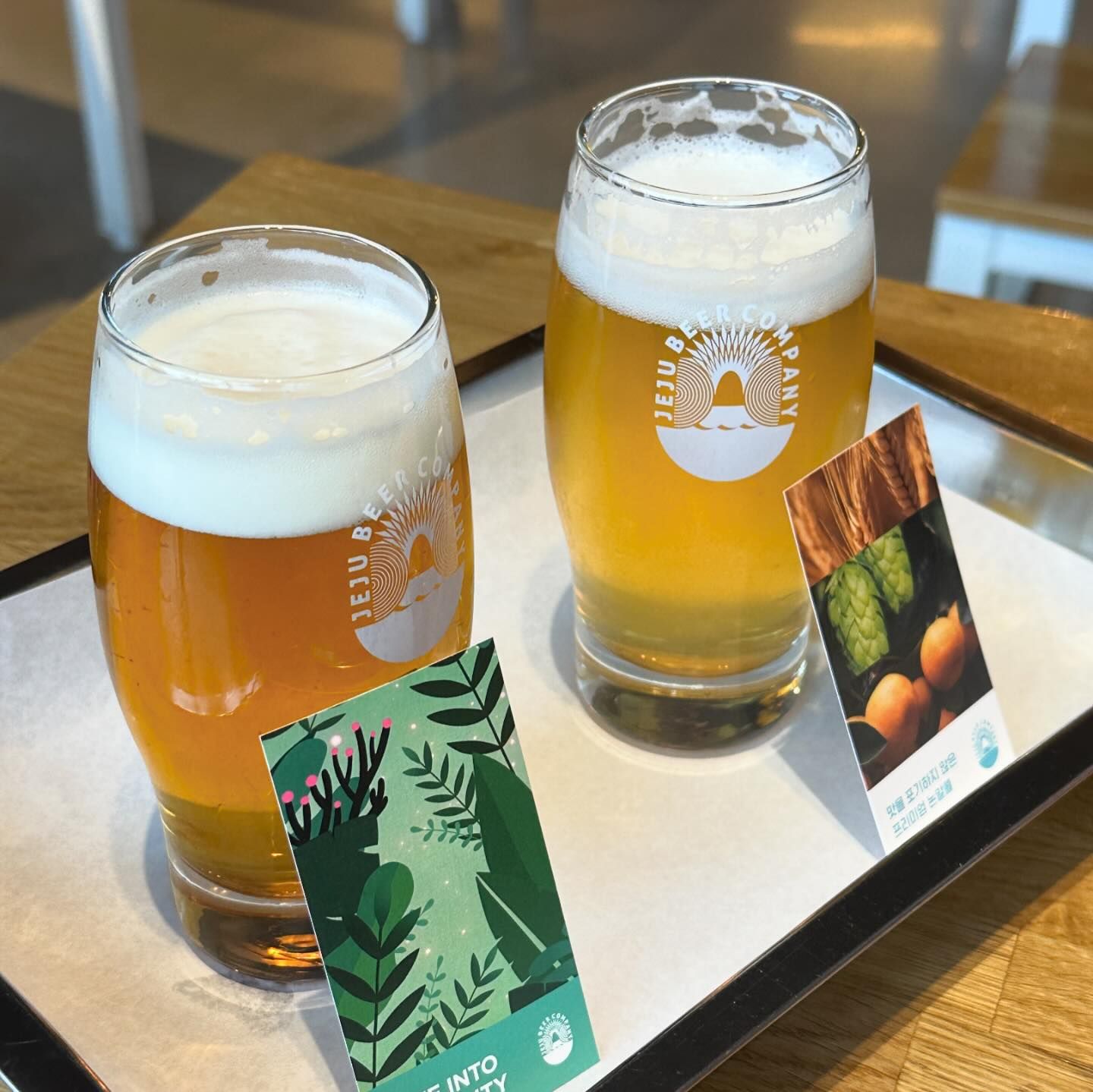 things to do in jeju 2024 - jeju beer brewery