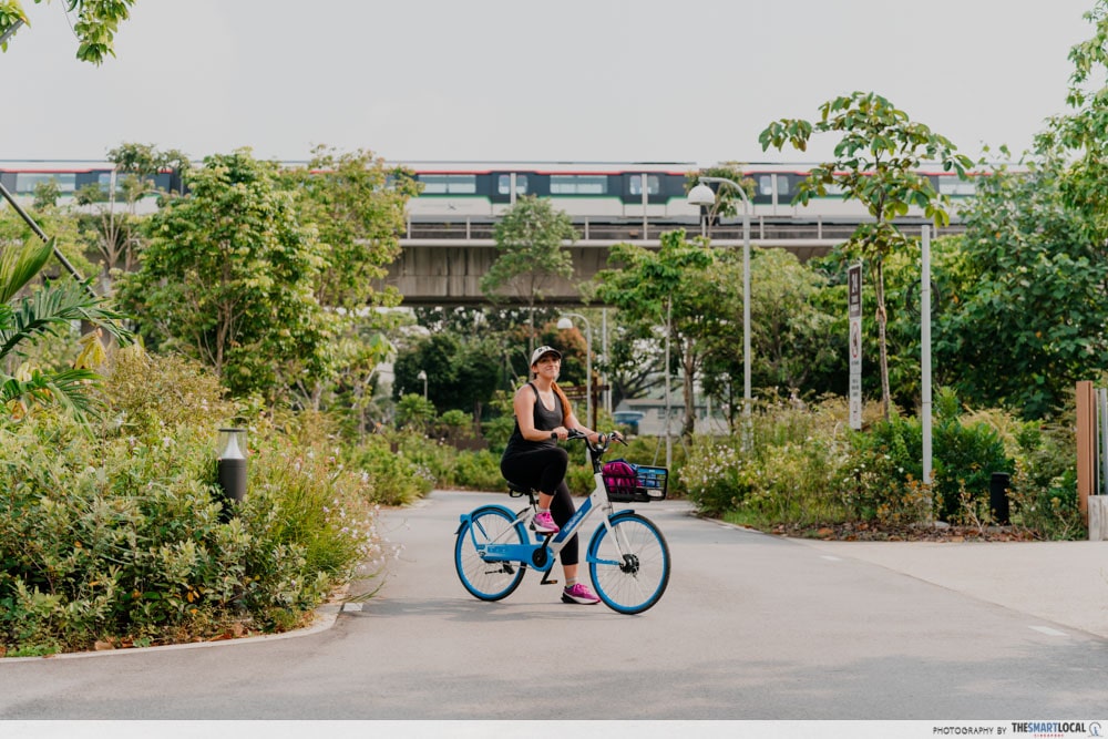 Coast-to-coast trail cycling & walking guide - Chinese Garden MRT