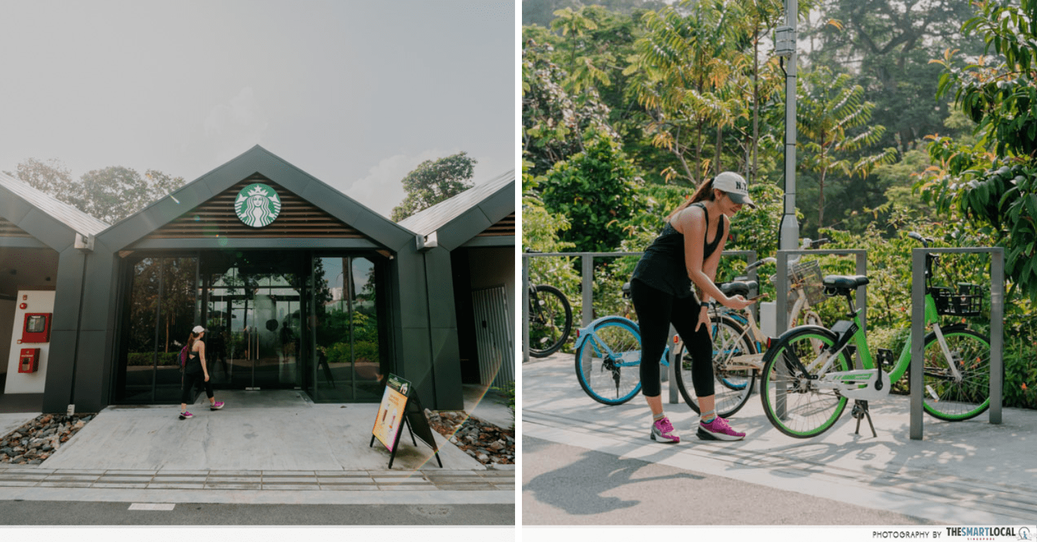 Coast-to-coast trail cycling & walking guide - Jurong Lake Gardens Starbucks
