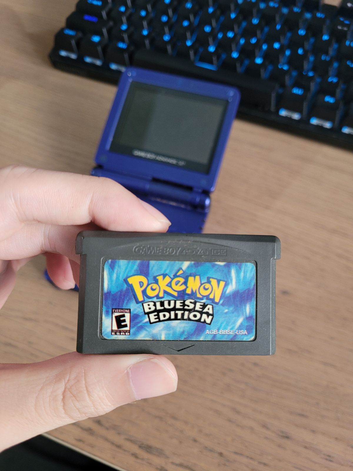 Pokemon Bootleg Game - Retro Game Boy Games