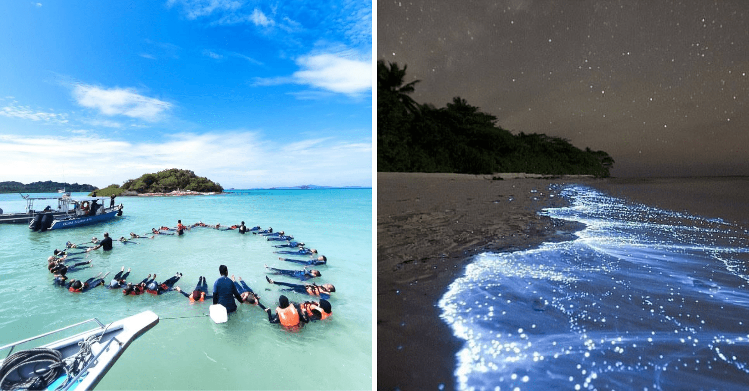 Swimming In The Sea And Blue Tears On Pulau Sembilan
