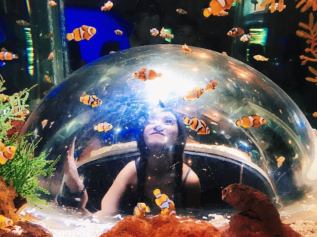 Underwater World Singapore - fish dome