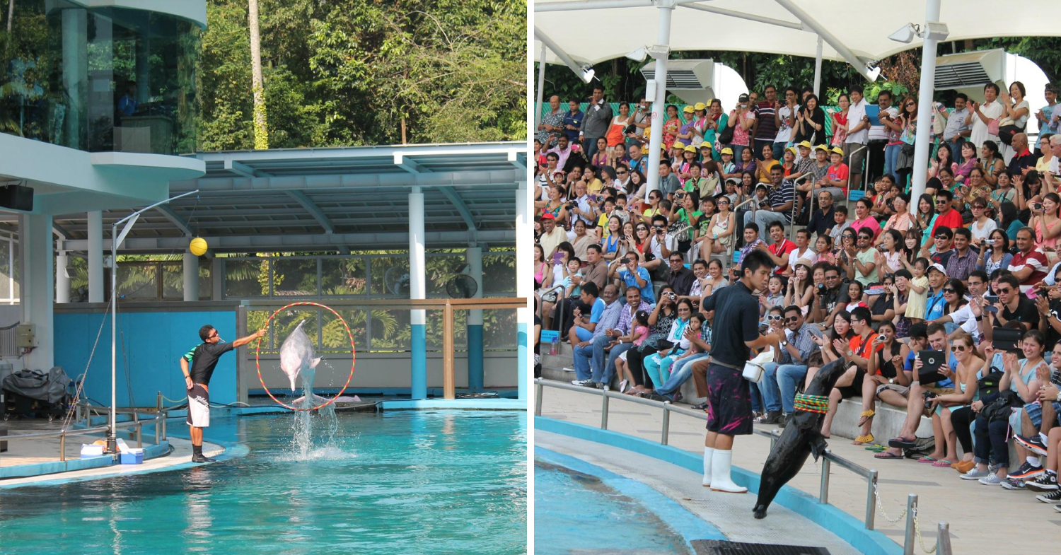 Underwater World Singapore - Dolphin Lagoon