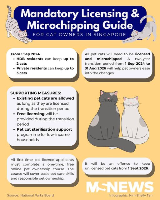 HDB rules for cats