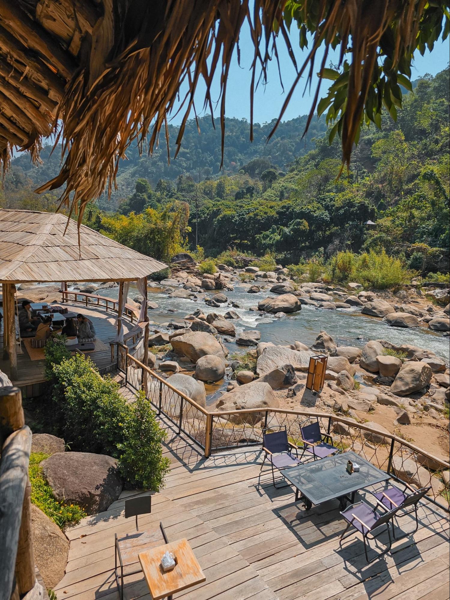 chiang mai cafes restaurants - stay wild and cafe
