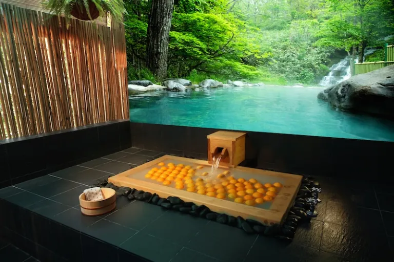mother's day deals - ikeda spa onsen