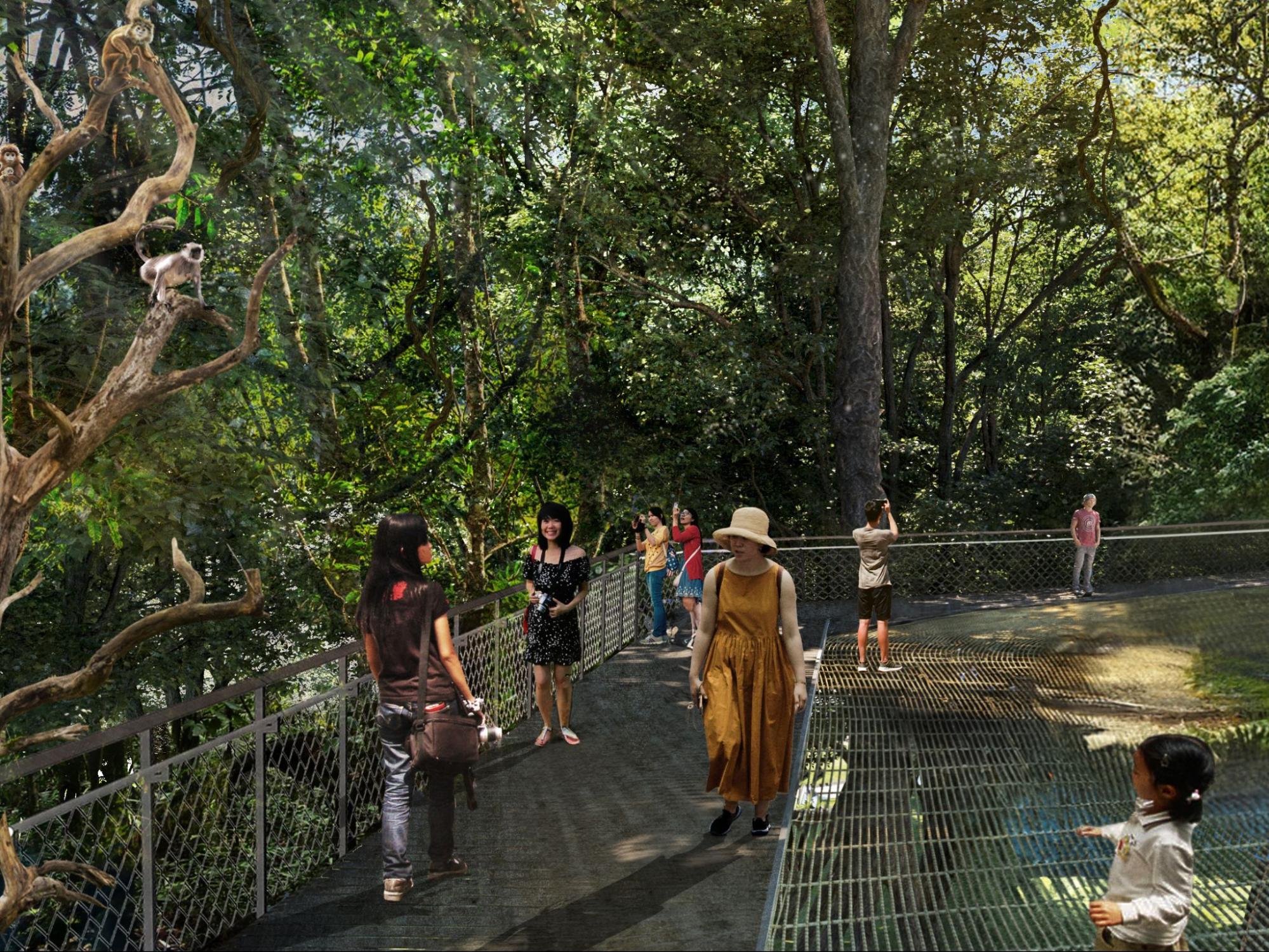 mandai wildlife reserve 2024 - rainforest wild