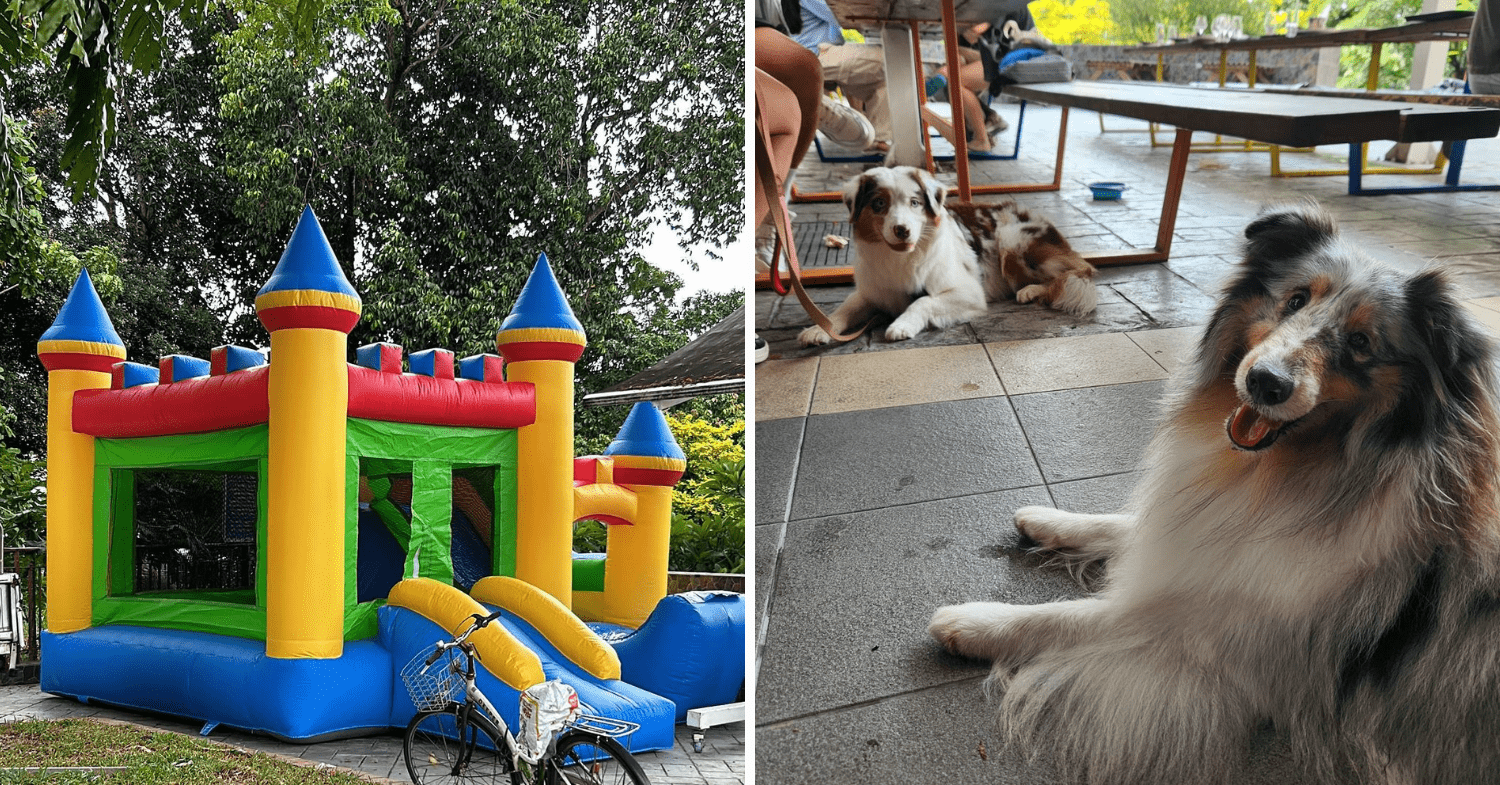 Bouncy Castle And Pets