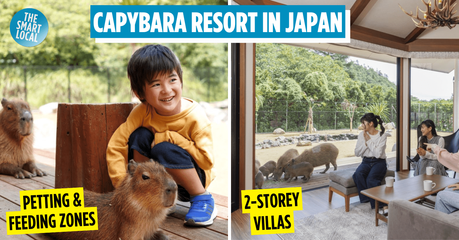 There’s An Animal Resort In Japan With Free-Roaming Capybaras, Hot Springs & Mountain Views