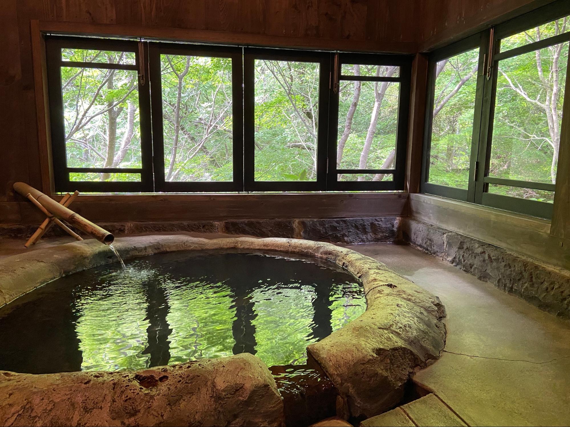 12 Japanese Onsen Towns - Indoor bath 
