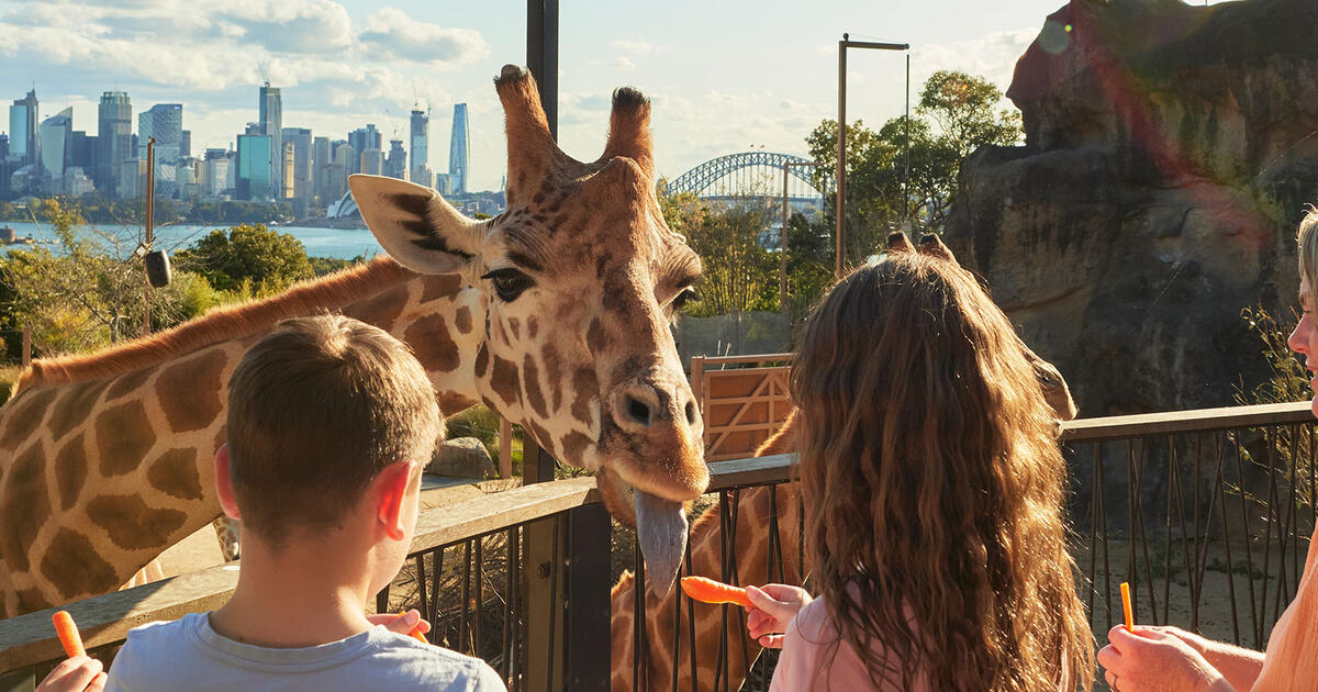 Things to do in New South Wales - Taronga Zoo