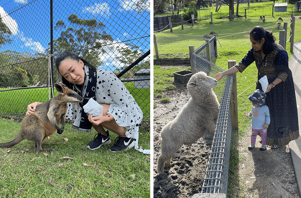 Things to do in New South Wales - Symbio Wildlife Park