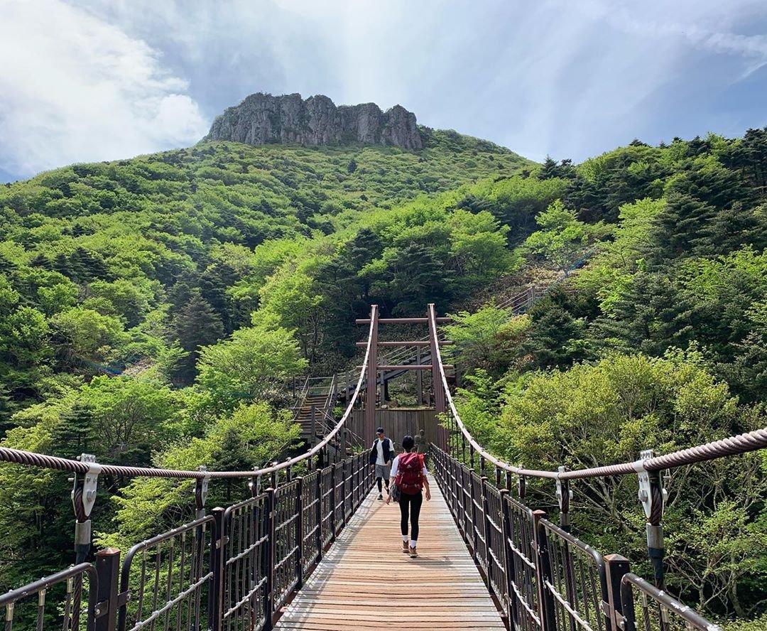 mountain hiking trails korea - Hallasan bridge
