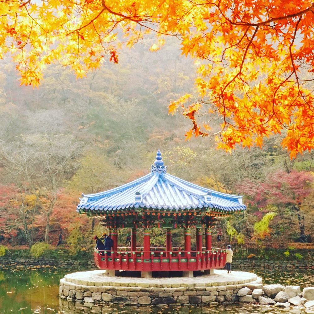 mountain hiking trails korea - Naejangsan uhwajeong pavilion
