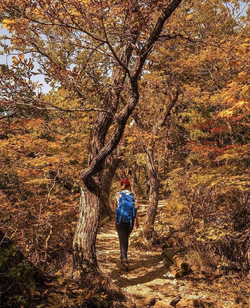 mountain hiking trails korea - Seoraksan autumn